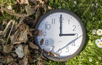 Eine Uhr steht auf 3 Uhr. Links davon sind herbstliche Blätter und auf der rechten Seite Gänseblümchen.