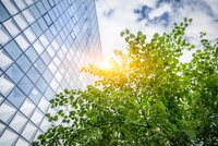 Ein Hochhaus, über welchem die Sonne scheint, davor ein Baum. Der blaue Himmel und die Wolken spiegeln sich in den Fernstern.