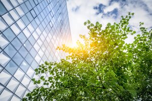 230209_artikelbild_baum-gebaeude_gettyimages.jpg Ein Hochhaus, über welchem die Sonne scheint, davor ein Baum. Der blaue Himmel und die Wolken spiegeln sich in den Fernstern.