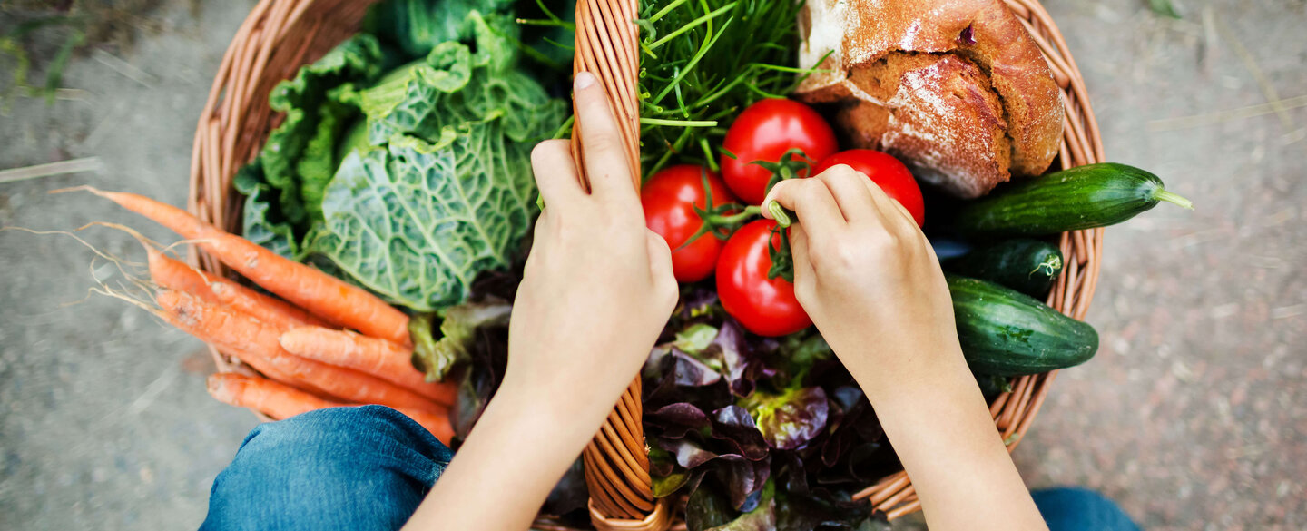 Hands Of A Girl With Harvested Vegetable