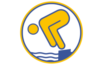 Bild des Schwimmabzeichens "Gold"