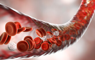 Eine illustrierte durchsichtige Ader mit roten Blutplättchen wird gezeigt.