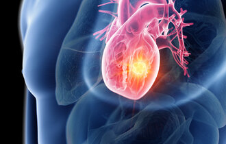 Herz wird in einem durchsichtigen Körper dargestellt.