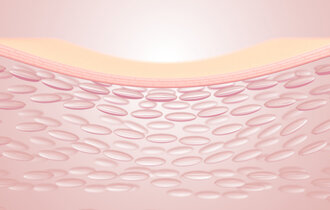 3d,Rendering,The,Skin,Structure,Layer,Microstructure